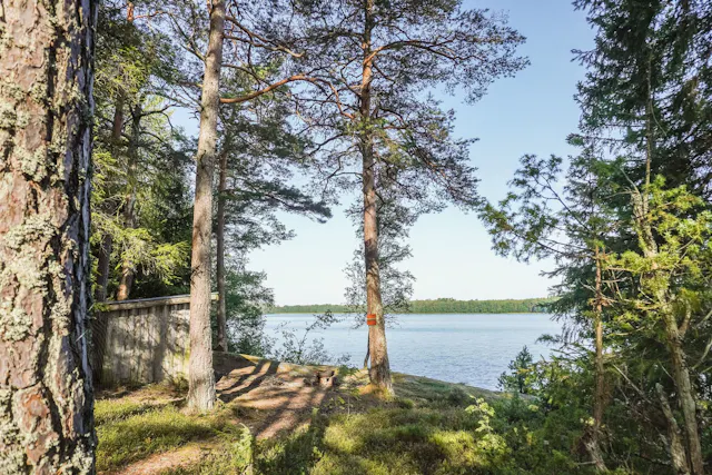 Bild 2 från Ludvig & Co