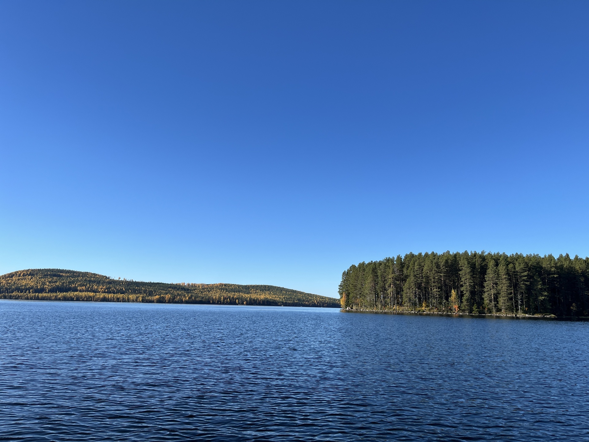 Lillön 110