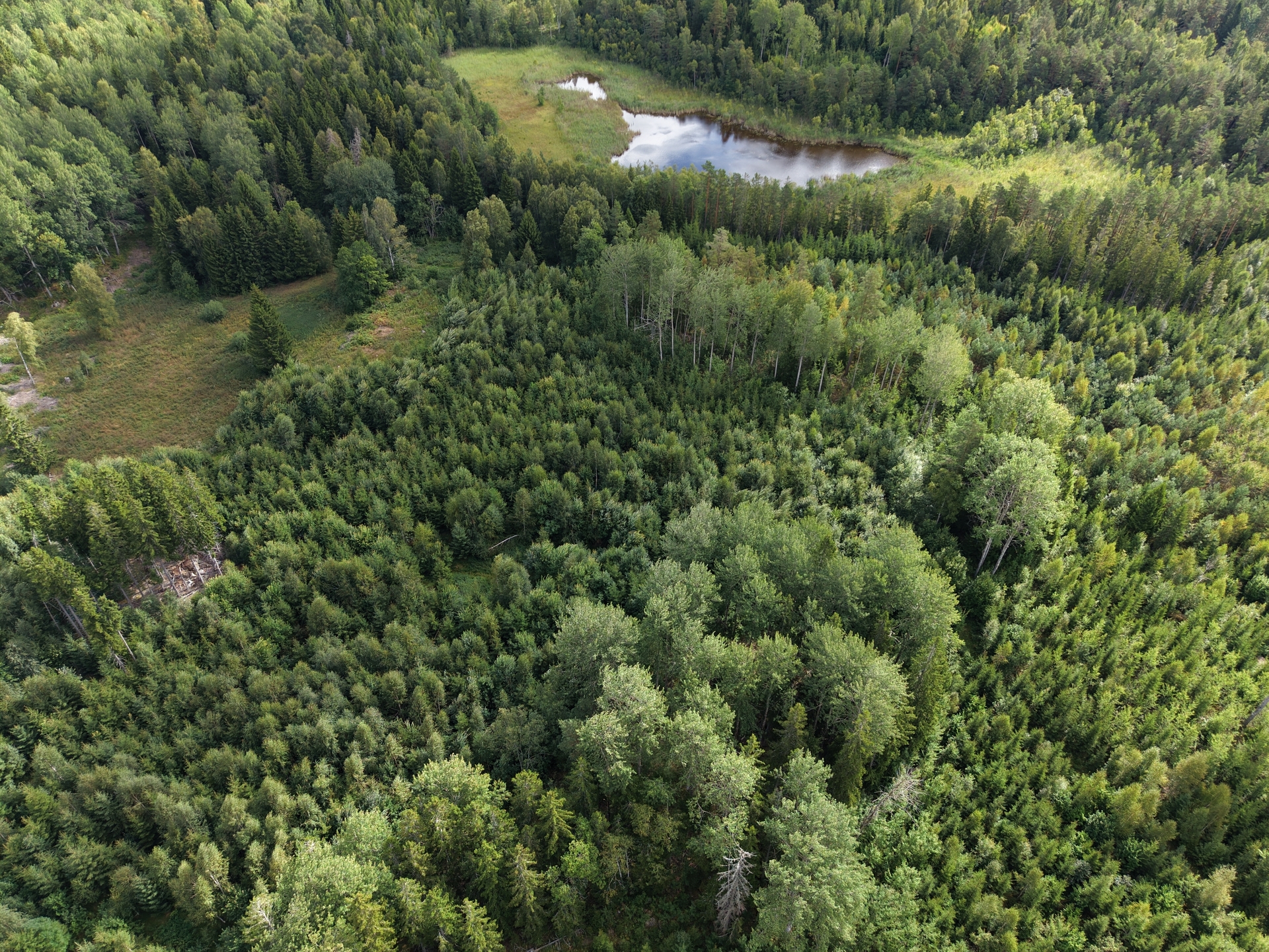 Skogsegendom om 610 hektar i Roslagen